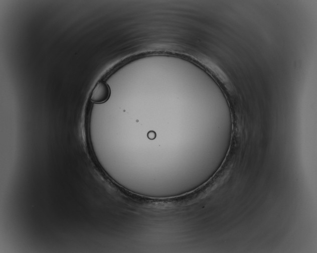 X0000100340888200806191022