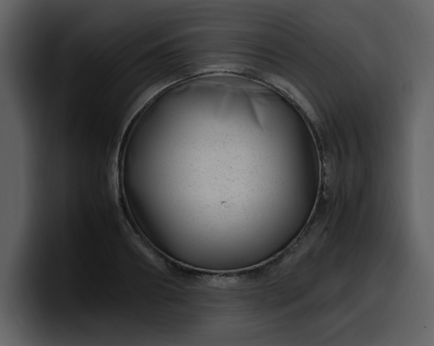 X0000100340890200806191022