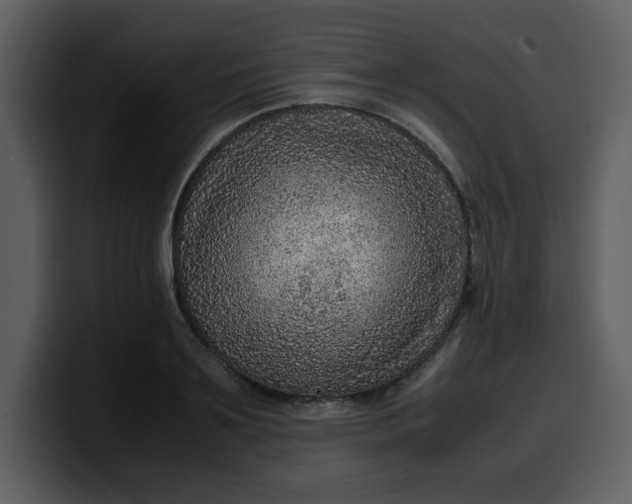 X0000100340891200806191022