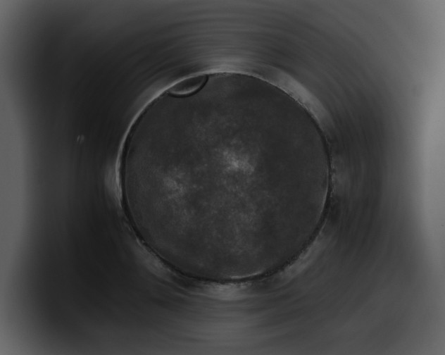 X0000100340892200806191022