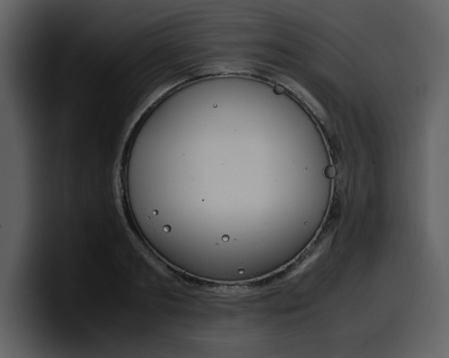 X0000100340893200806191022