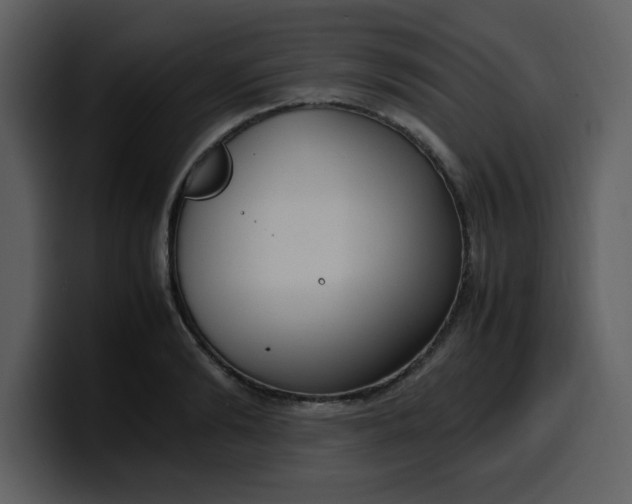 X0000100340894200806191022