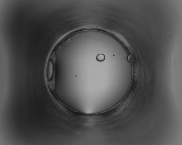 X0000100340895200806191022