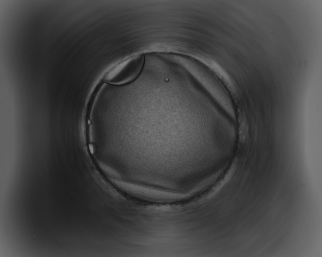 X0000100340896200806191022