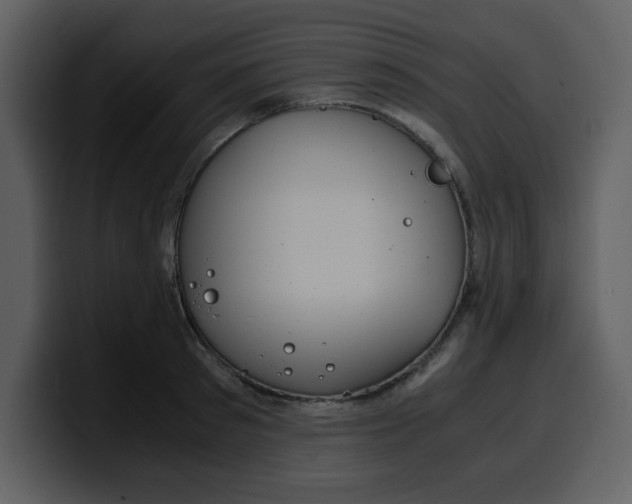 X0000100340897200806191022