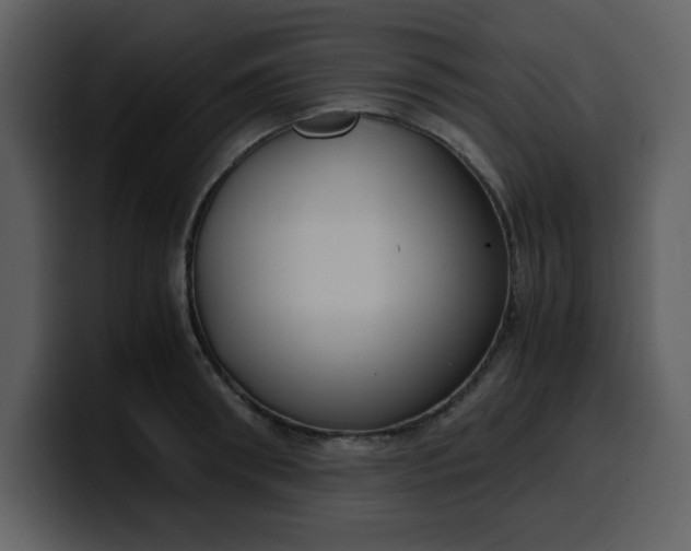 X0000100340898200806191022