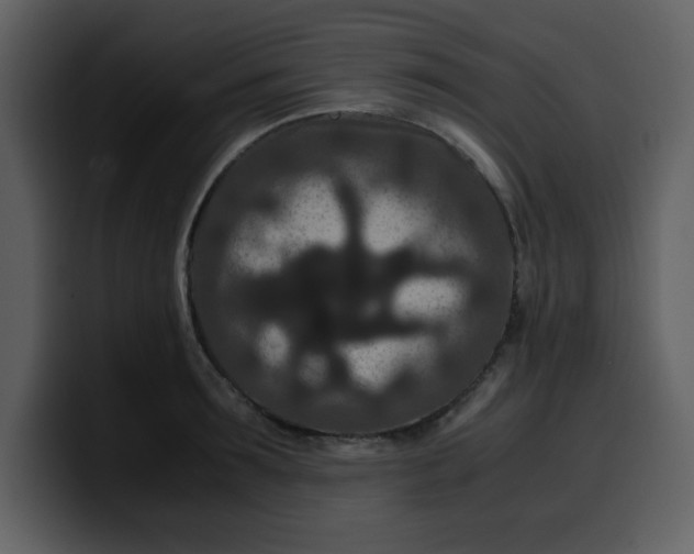 X0000100340899200806191022