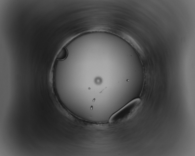 X0000100340900200806191022