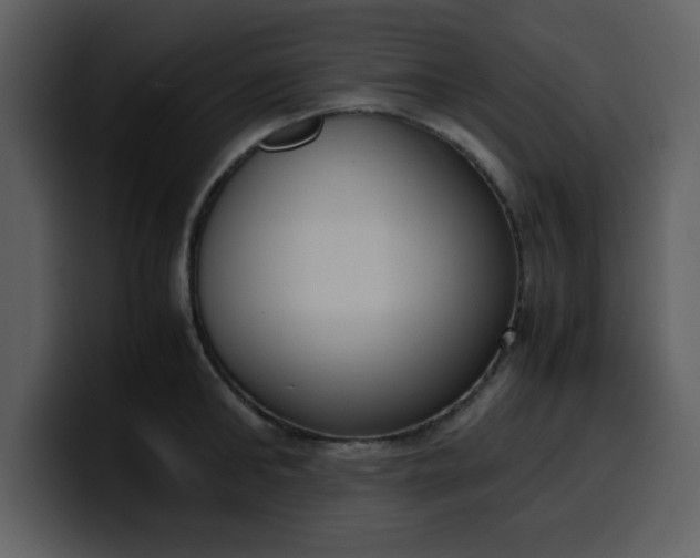 X0000100340902200806191022