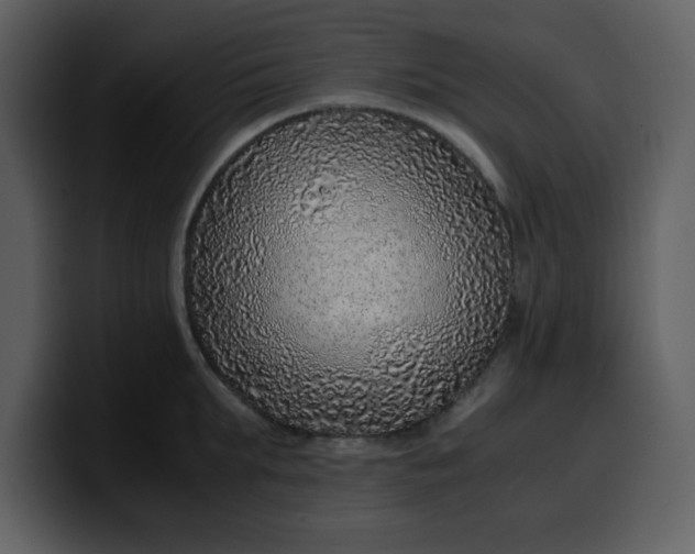 X0000100340903200806191022