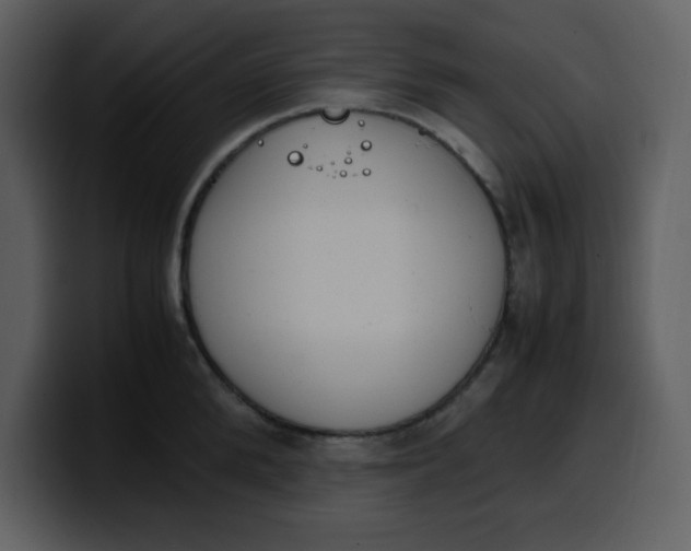 X0000100340904200806191022