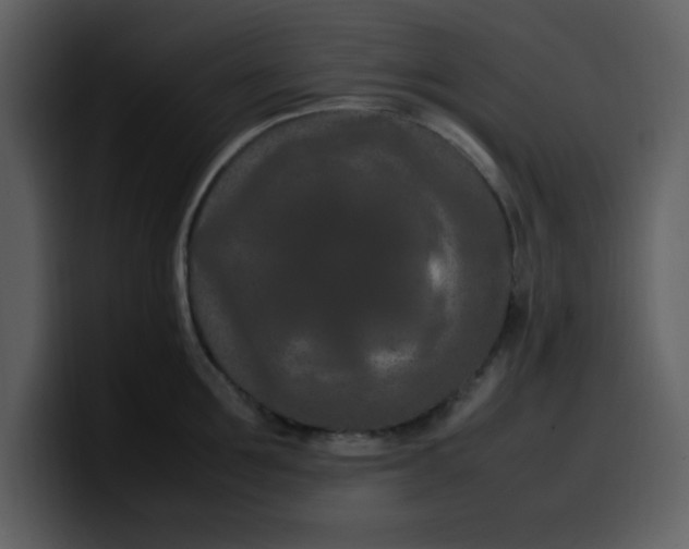 X0000100340907200806191022