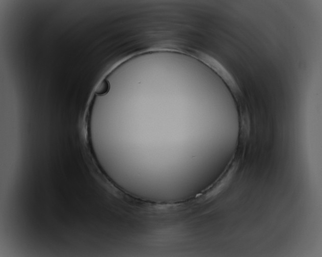 X0000100340908200806191022