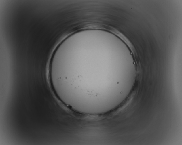 X0000100340909200806191022