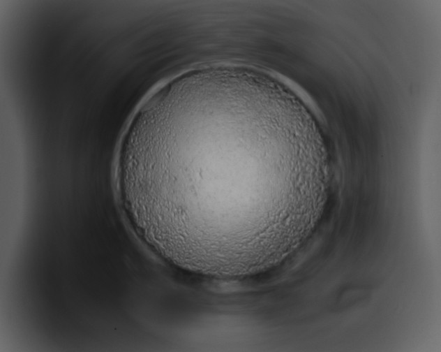 X0000100340911200806191022