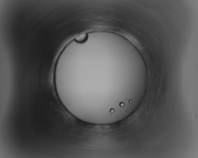 X0000100340912200806191022