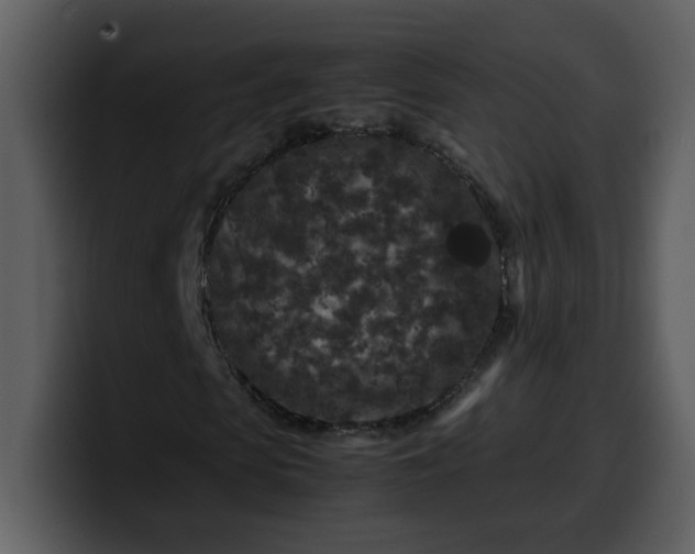 X0000100340913200806191021