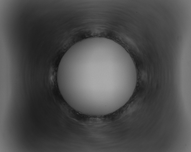 X0000100340914200806191021