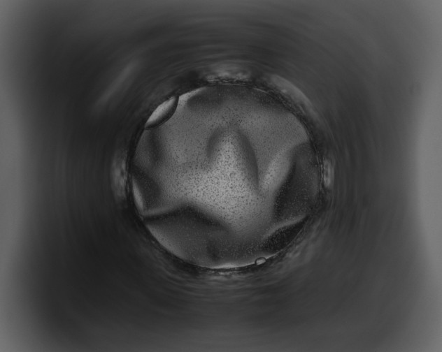 X0000100340915200806191021