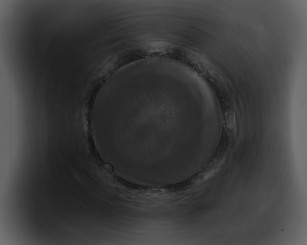 X0000100340916200806191021