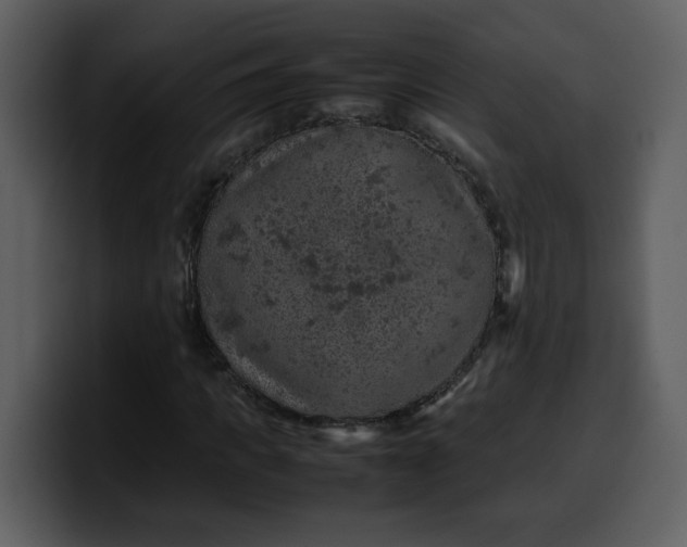 X0000100340917200806191021