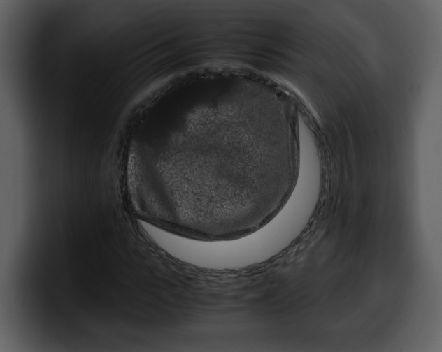 X0000100340919200806191021