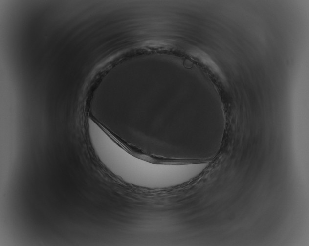 X0000100340920200806191021