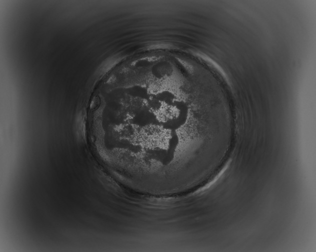 X0000100340921200806191021