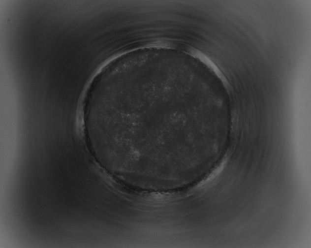 X0000100340923200806191021