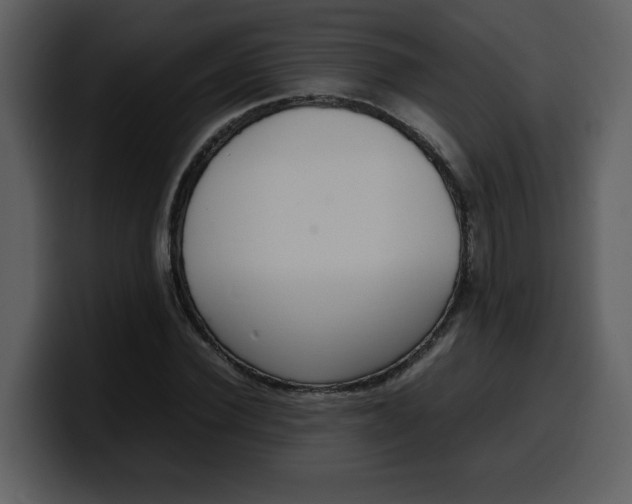 X0000100340924200806191021