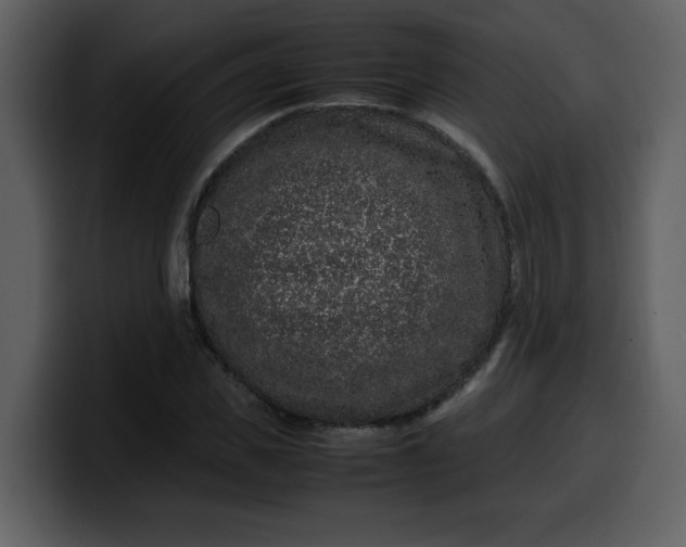 X0000100340925200806191021