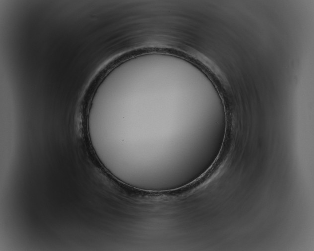 X0000100340926200806191021