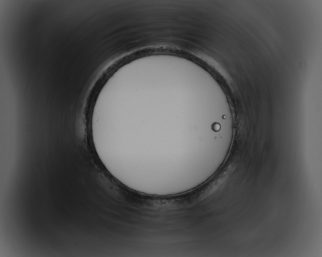 X0000100340927200806191021