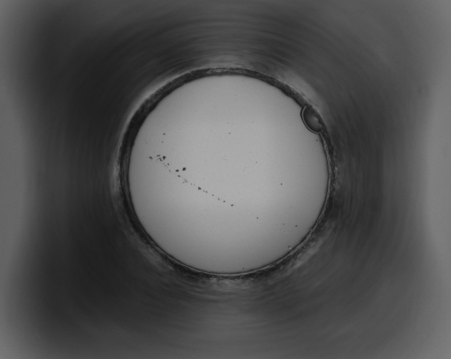 X0000100340928200806191021