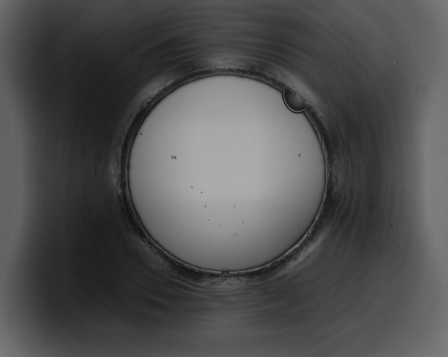 X0000100340930200806191021