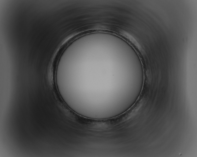 X0000100340931200806191021