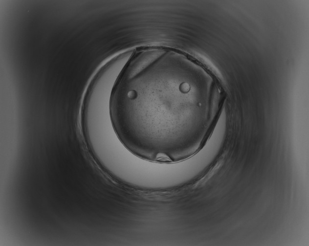 X0000100340932200806191021