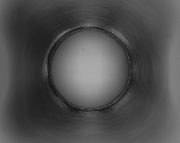 X0000100340934200806191021