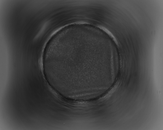 X0000100340935200806191021