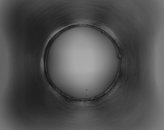 X0000100340936200806191021