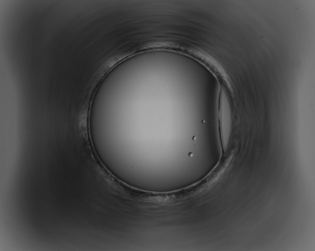 X0000100340937200806191021