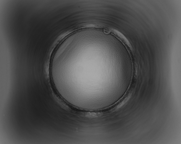 X0000100340938200806191021