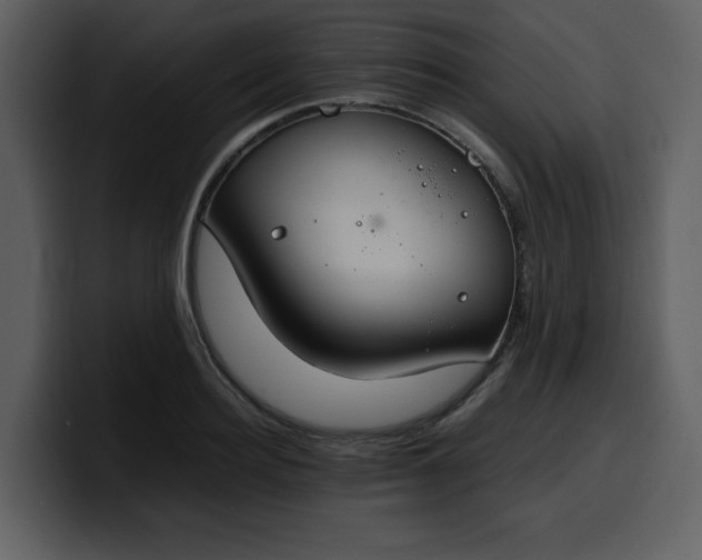 X0000100340940200806191021