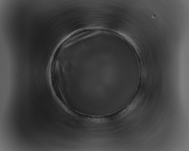 X0000100340941200806191021