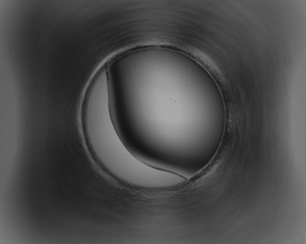 X0000100340942200806191021