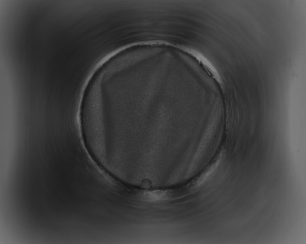 X0000100340943200806191021