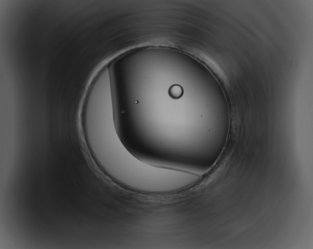 X0000100340944200806191021