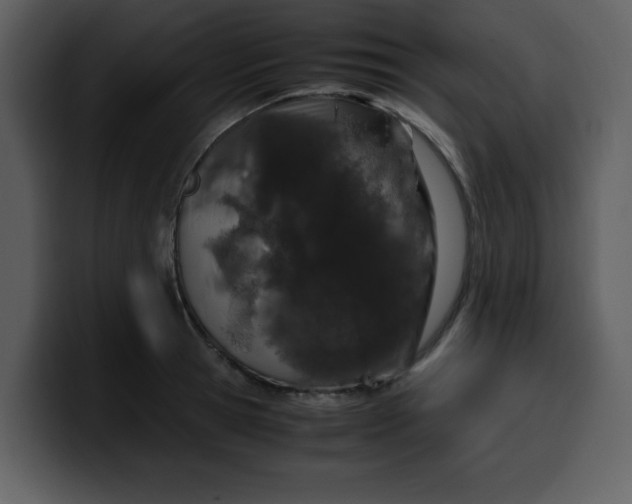 X0000100340945200806191021