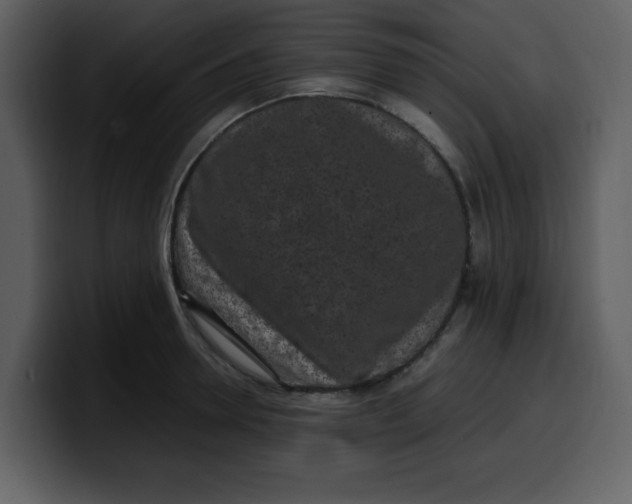 X0000100340946200806191021