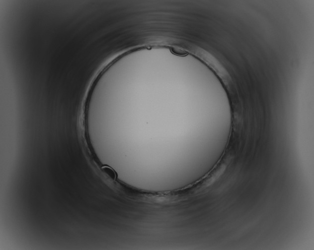 X0000100340948200806191021